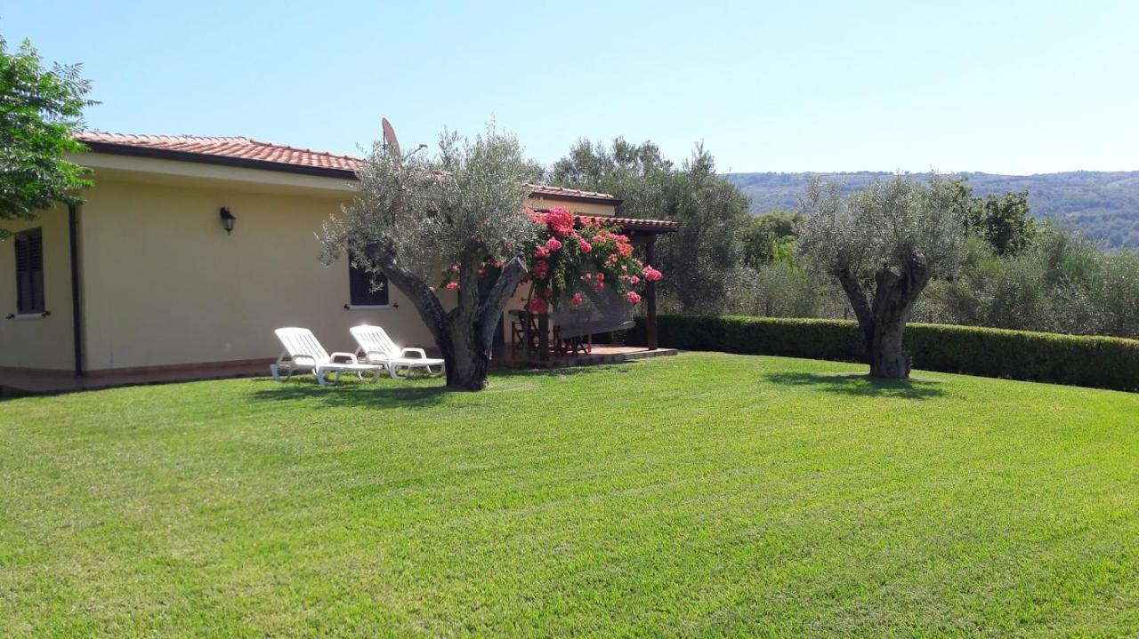 Villa Mimosa Tropea Ricadi Eksteriør billede