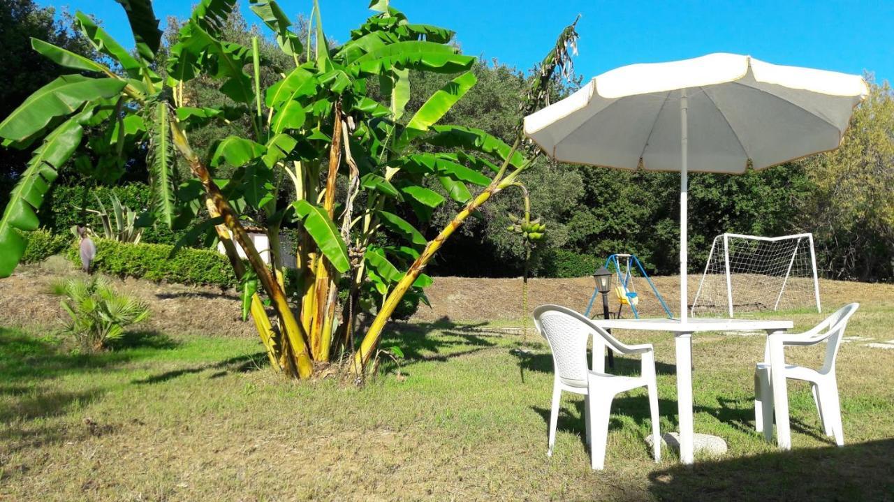 Villa Mimosa Tropea Ricadi Eksteriør billede