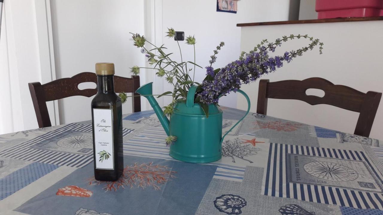 Villa Mimosa Tropea Ricadi Eksteriør billede