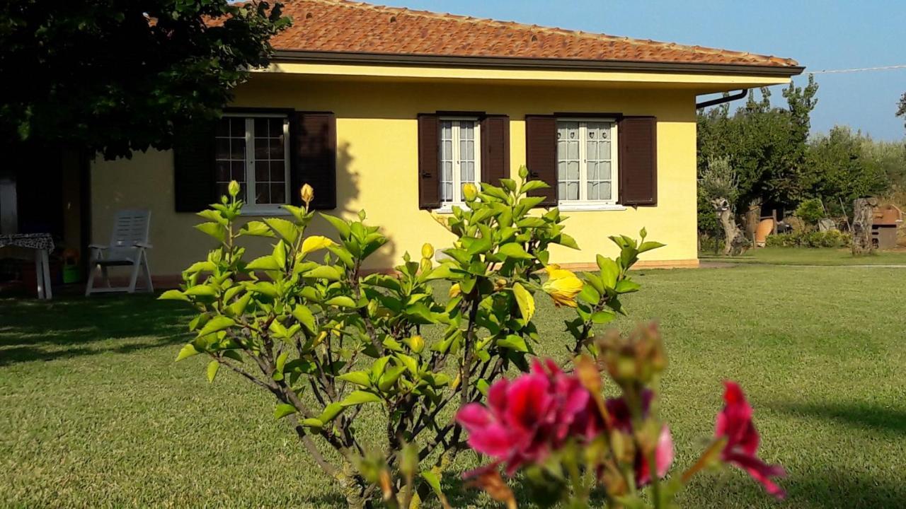 Villa Mimosa Tropea Ricadi Eksteriør billede