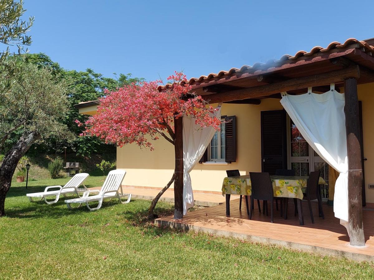 Villa Mimosa Tropea Ricadi Eksteriør billede