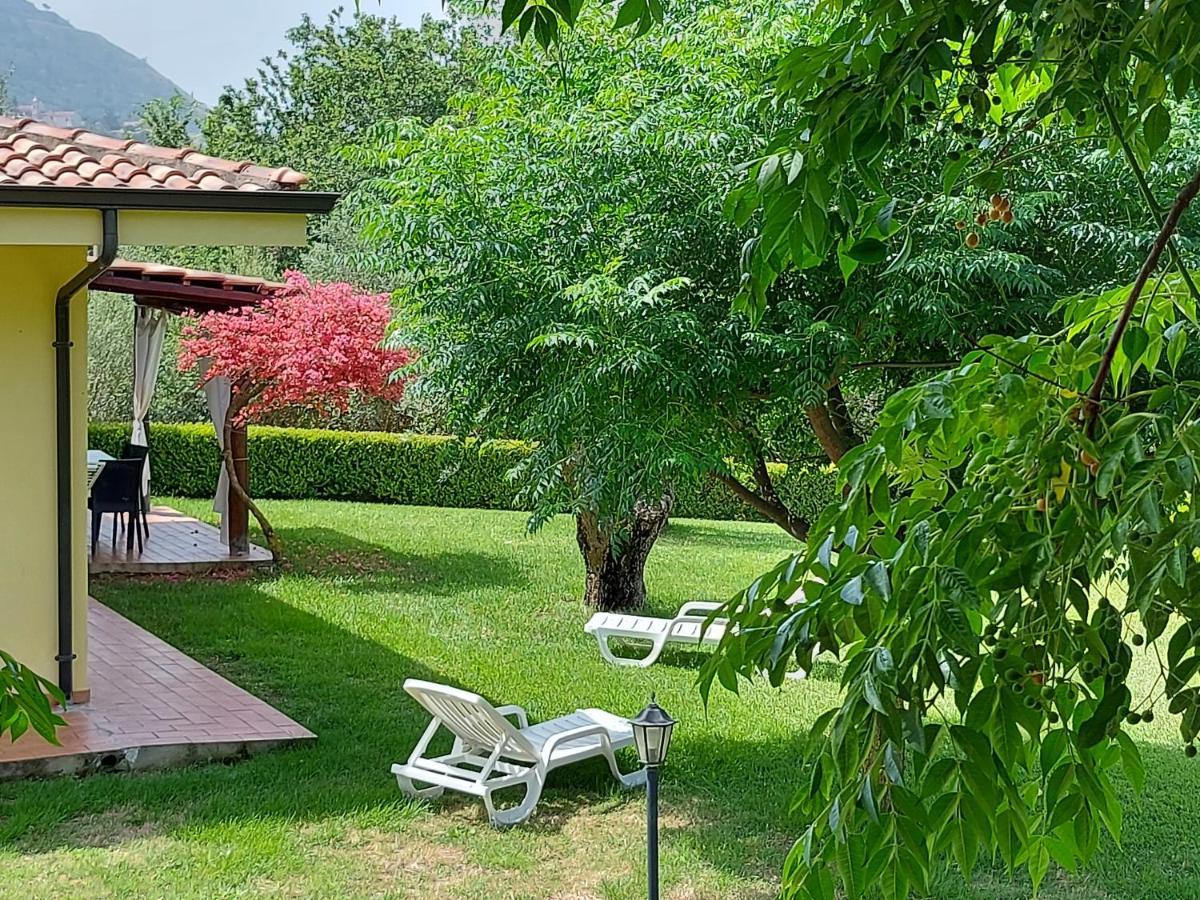Villa Mimosa Tropea Ricadi Eksteriør billede