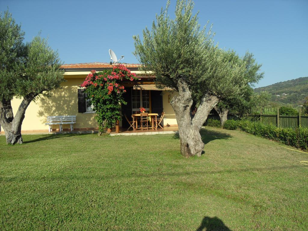 Villa Mimosa Tropea Ricadi Eksteriør billede