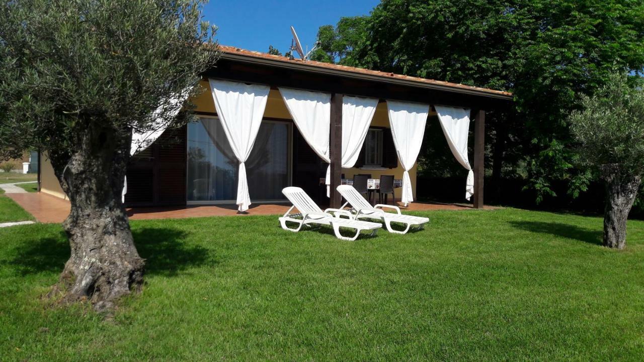 Villa Mimosa Tropea Ricadi Eksteriør billede