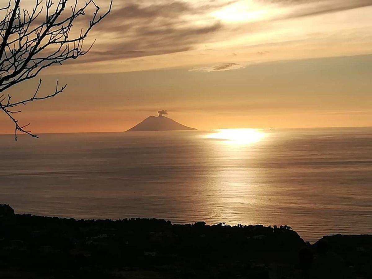Villa Mimosa Tropea Ricadi Eksteriør billede